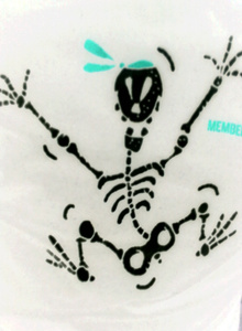 My Photos