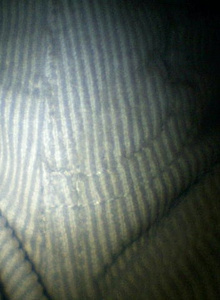 My Photos
