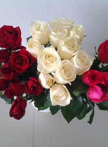 My Photos