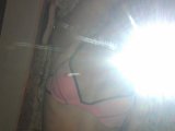 ass4all
