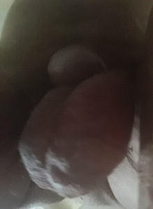 Fotoğraf #2515967