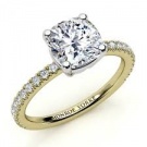 dimon ring