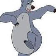 yogi001