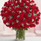 Big bouquet of red roses