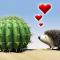 Cactus06