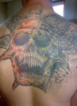 DOKTOREK81 photo 1779059 thumbnail