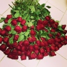 many roses =)