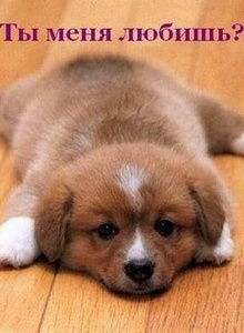 dimoccka My Photos photo 2924280