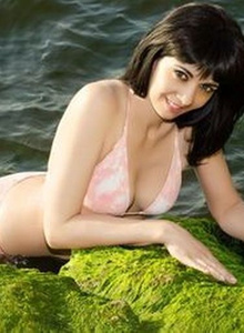 My Photos