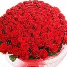 Big bouquet of red roses