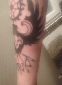 Drago_FALCON photo 3915440 thumbnail