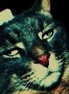 Mr-Mercedes My Photos photo 3605411