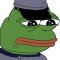 southernsadfrog