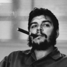 Cuban cigar