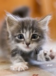My Photos