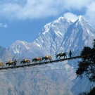 Travel 