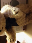 SmokerSam photo 1824091 thumbnail