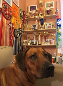 IRGI-XXL My Photos photo 4129754