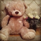 Большой мишка