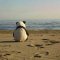 Lonely_Panda