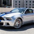 Just this amazing horse))