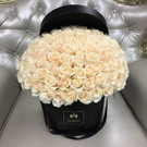 white rose/ белые розы