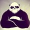 panda13666