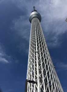 _SAMURAI_ My Photos photo 4751226