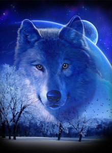 Lunar_Wolf My Photos photo 2478507