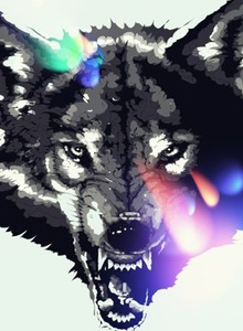 My Photos