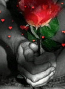 My Photos