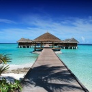  I want to fly to the Maldives (hearts)