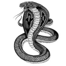 Alex_Snake