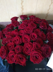 My Photos