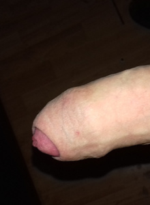 lunmu photo 3236180 thumbnail