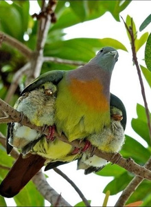 where33 photo 4359727 thumbnail