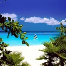 I want to go to the sea