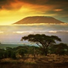 TRAVEL TO AFRICA