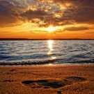 Побывать на море)