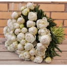 Белые пионы