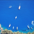 Путешествовать