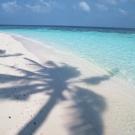 _-_-_- wish list item 1 thumbnail