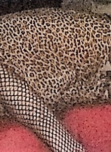 Sandra-CD photo 3022433 thumbnail