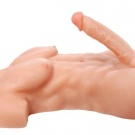 Torso