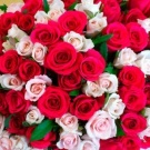 Букет цветов