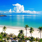 _Eva_WellS_ wish list item 2 thumbnail