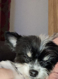 Mike15710 photo 5242778 thumbnail