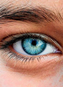 Fotoğraf #4526530