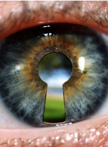 Fotoğraf #4526539