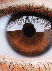 __DeD_MOPO3__ My Photos photo 4526545